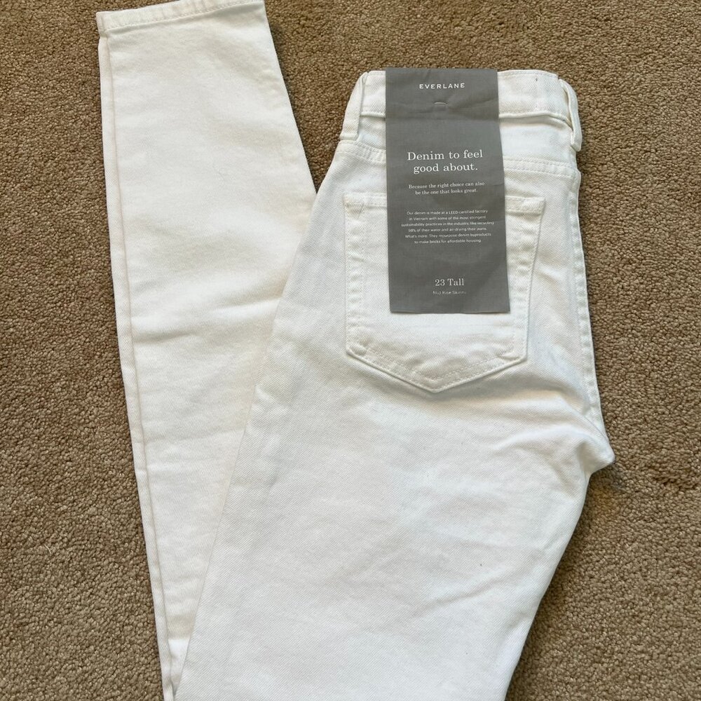 Everlane Mid Rise Skinny Jean